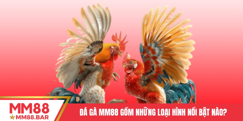Đá gà MM88 gồm những loại hình nổi bật nào?